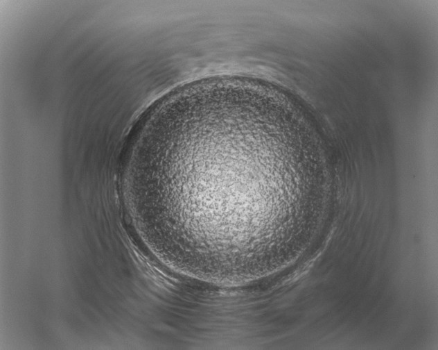 X0000060261497200510281152