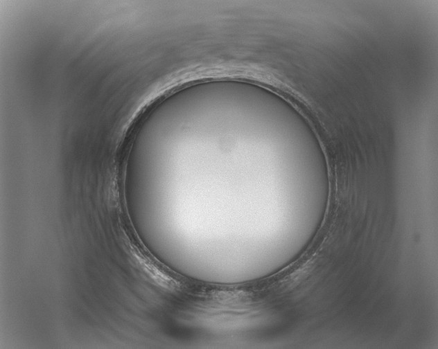 X0000060261498200510281152