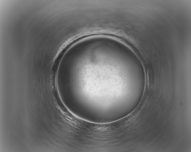 X0000060261501200510281152