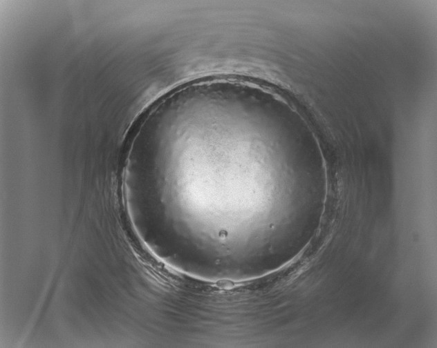 X0000060261505200510281152