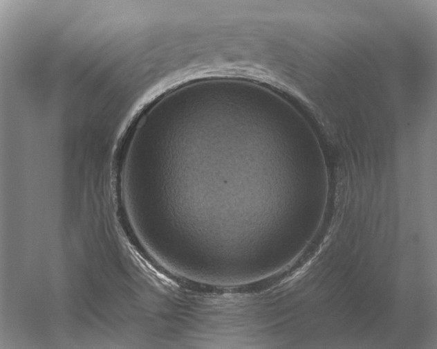 X0000060261506200510281152