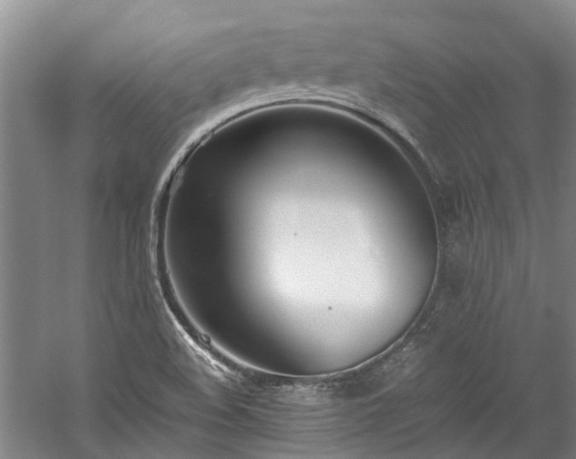 X0000060261508200510281152