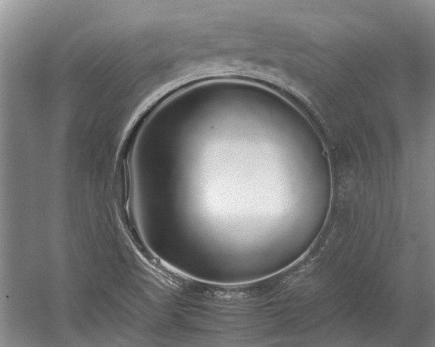 X0000060261509200510281152