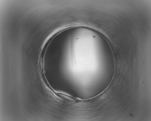 X0000060261510200510281152