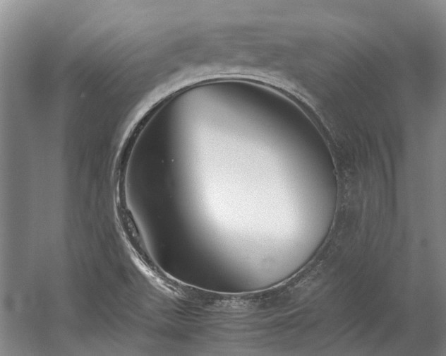 X0000060261511200510281152