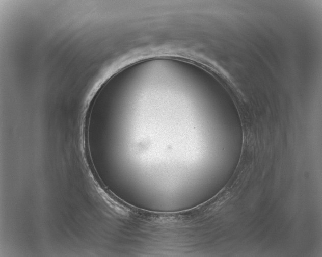 X0000060261512200510281152