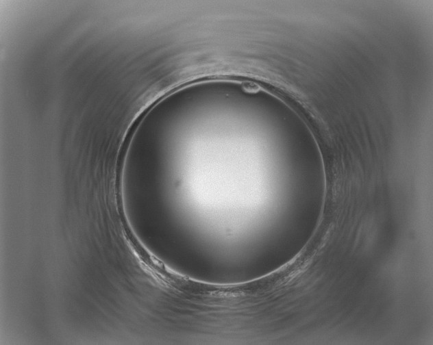 X0000060261513200510281152