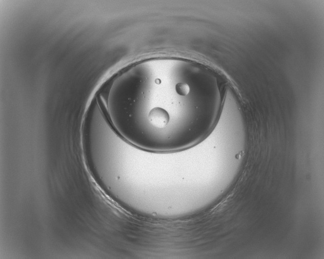 X0000060261514200510281152