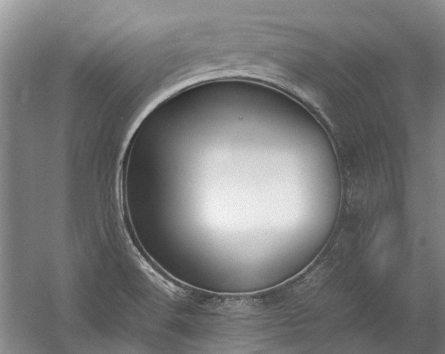 X0000060261516200510281152