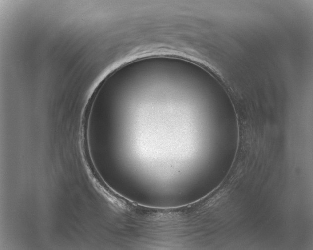 X0000060261518200510281152