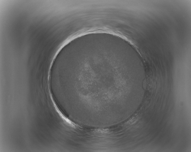 X0000060261519200510281152