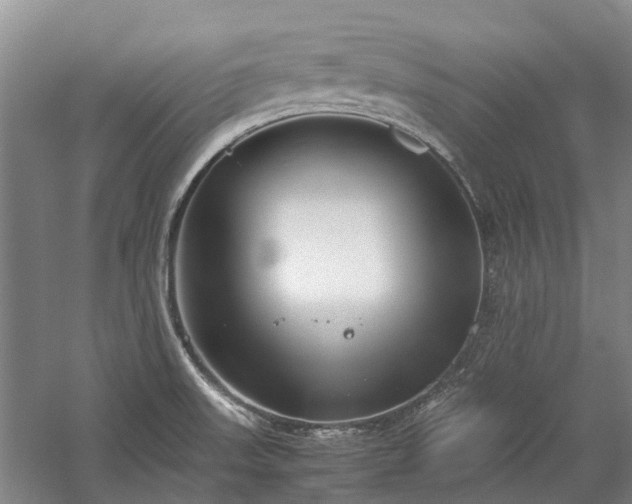 X0000060261523200510281152