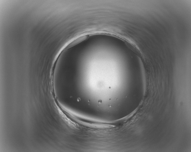 X0000060261524200510281152