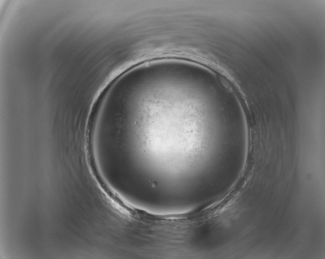 X0000060261525200510281152