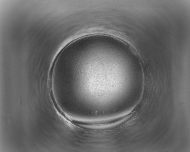 X0000060261527200510281152