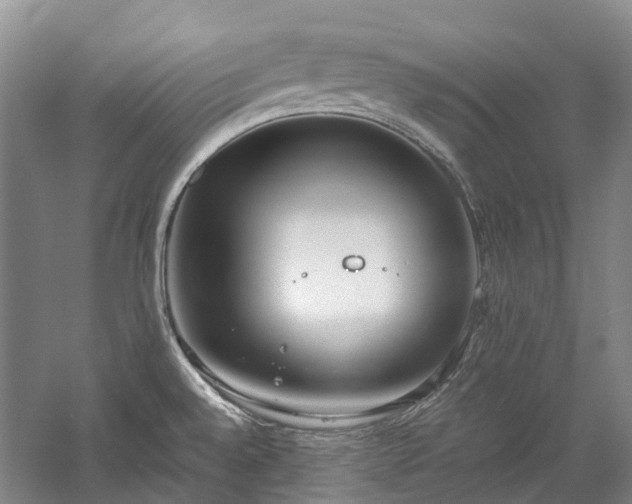 X0000060261528200510281152