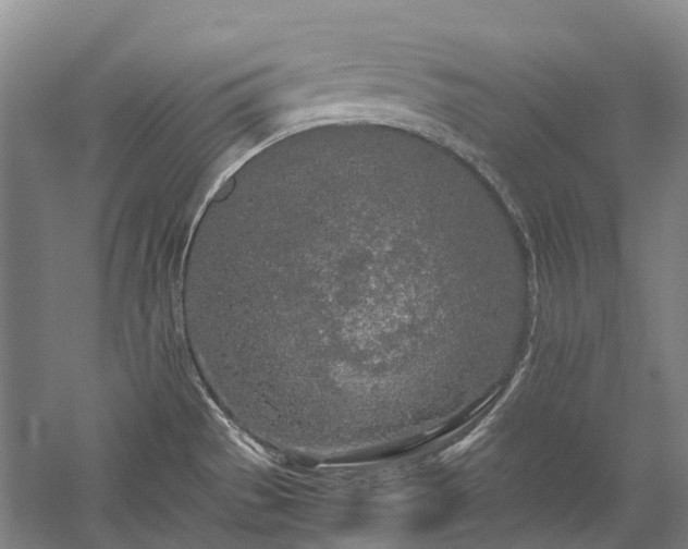 X0000060261529200510281152