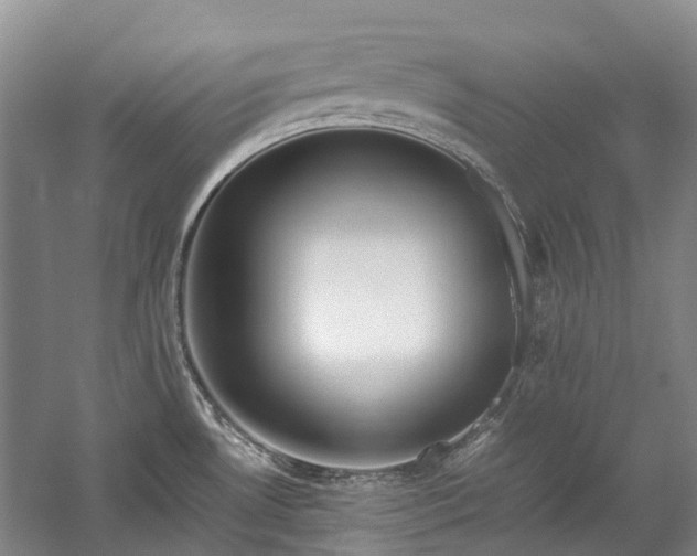 X0000060261530200510281152