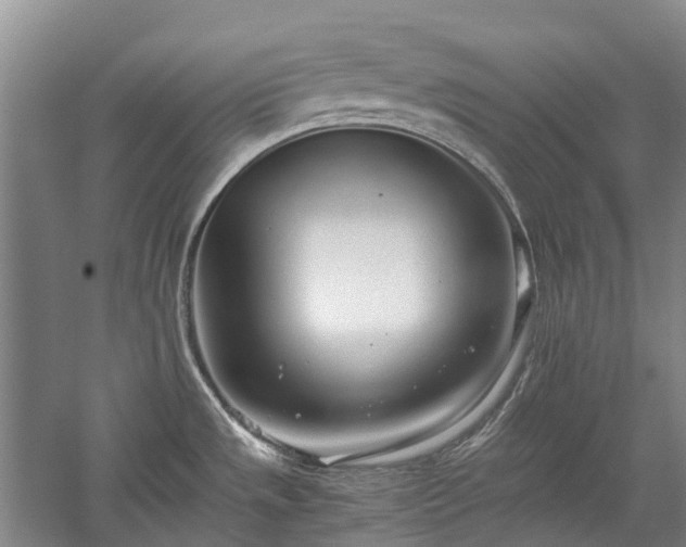 X0000060261533200510281152