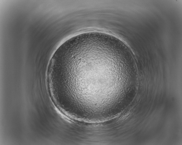 X0000060261535200510281152