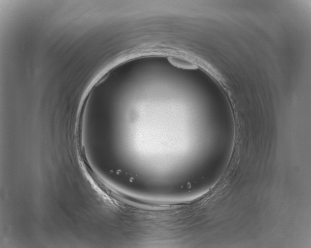 X0000060261536200510281152