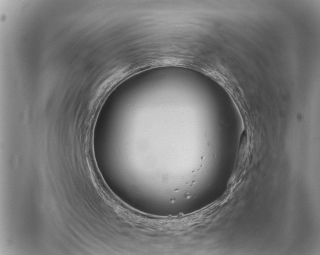 X0000060260001200511010925