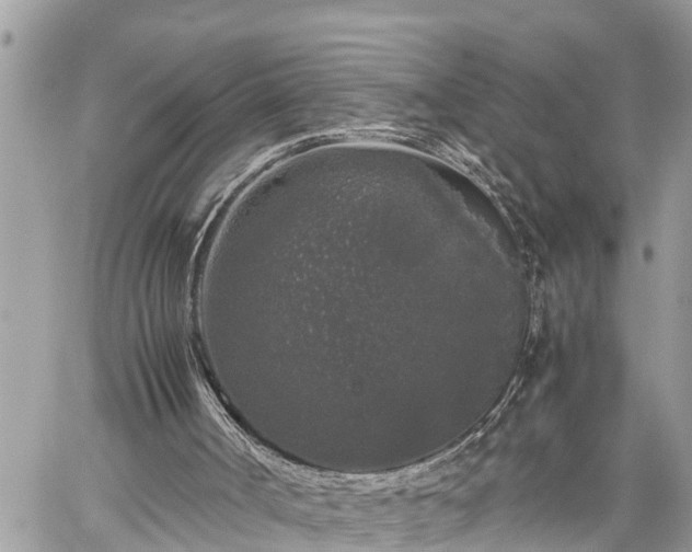 X0000060260002200511010925