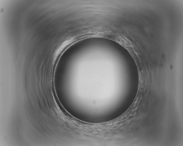 X0000060260003200511010925