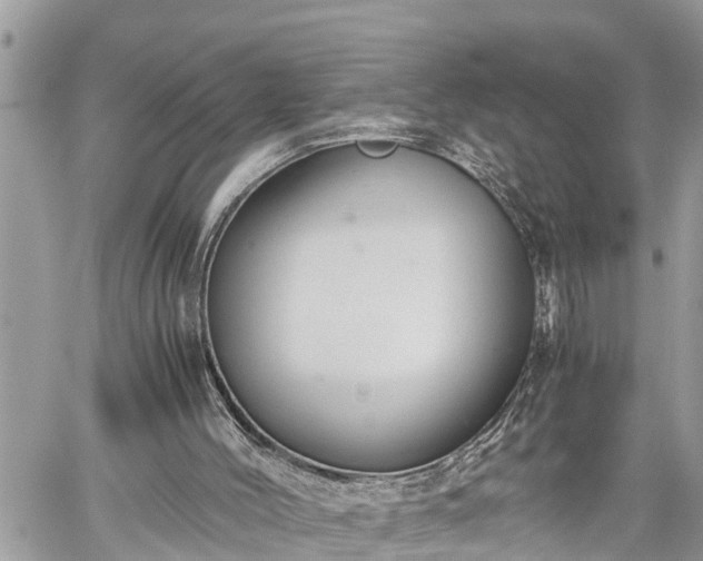 X0000060260004200511010925