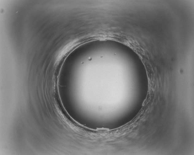 X0000060260005200511010925