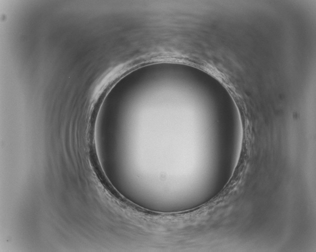 X0000060260007200511010925