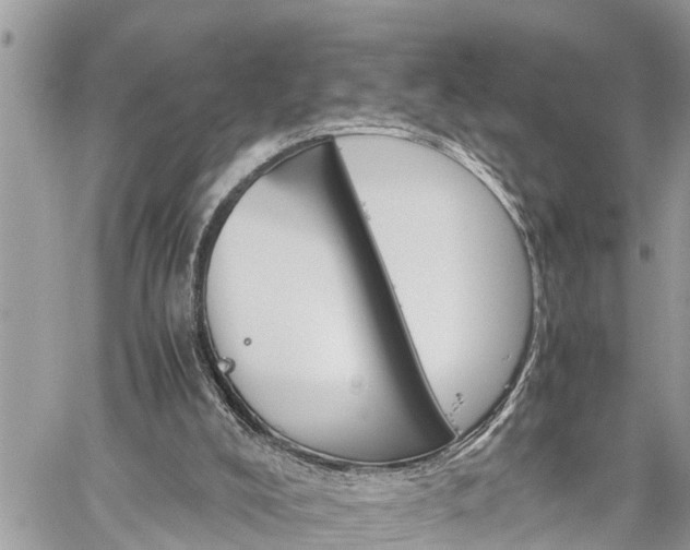 X0000060260008200511010925