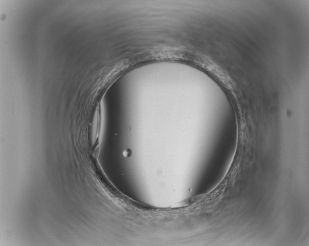 X0000060260009200511010925