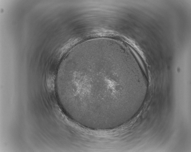 X0000060260010200511010925