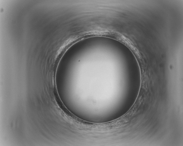 X0000060260011200511010925