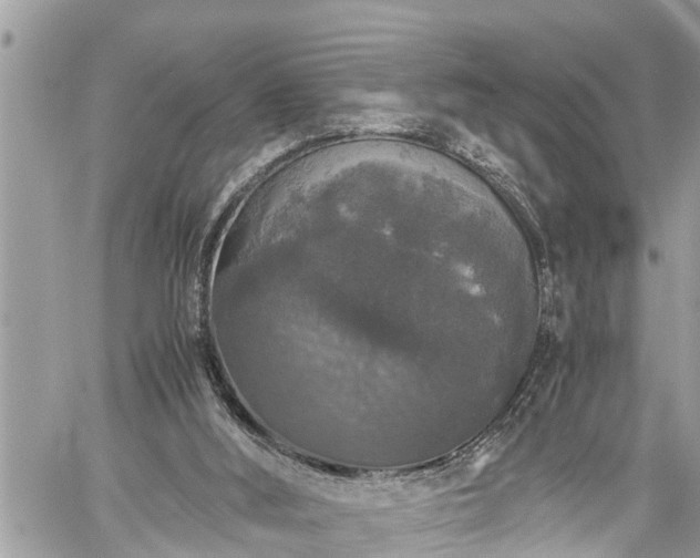 X0000060260012200511010925