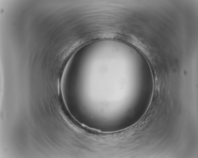 X0000060260013200511010925