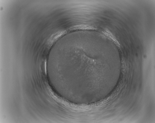 X0000060260014200511010925