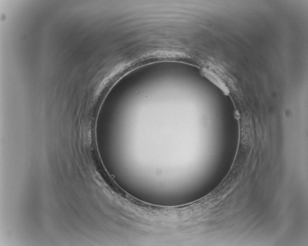 X0000060260015200511010925