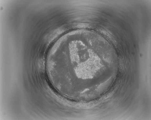 X0000060260016200511010925