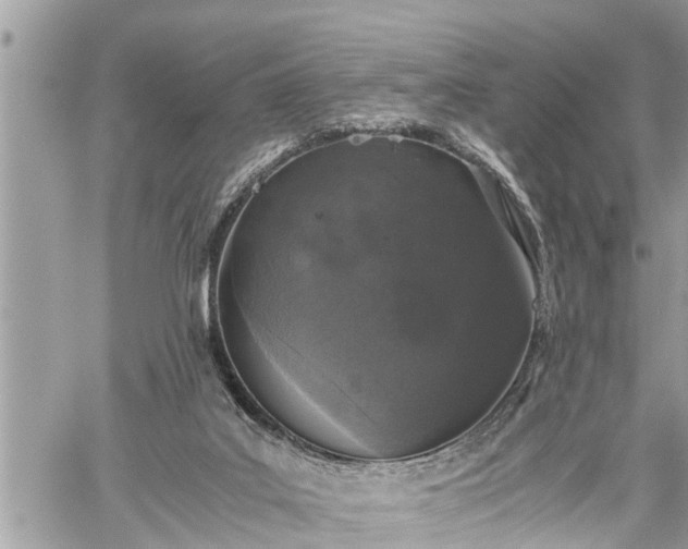 X0000060260019200511010924