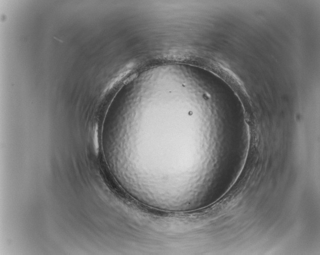 X0000060260020200511010924