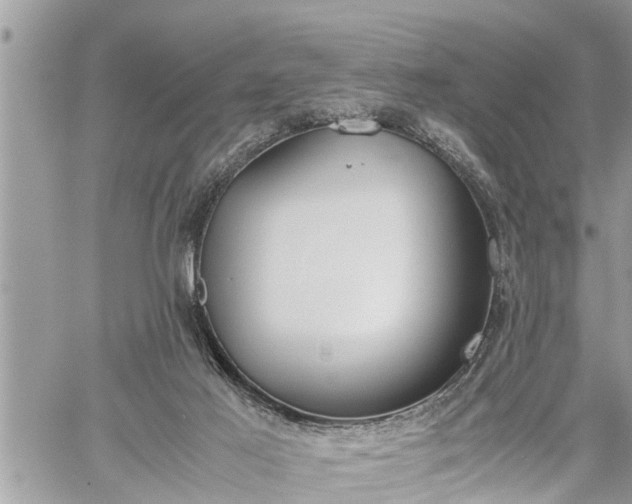 X0000060260021200511010924