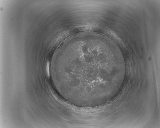 X0000060260022200511010924