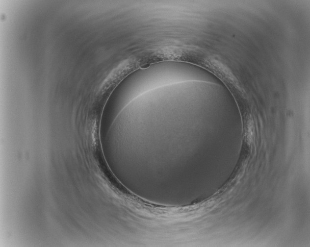 X0000060260023200511010924