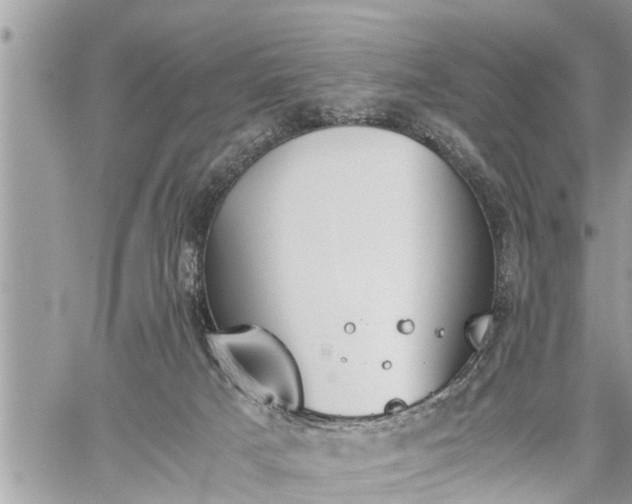 X0000060260025200511010924