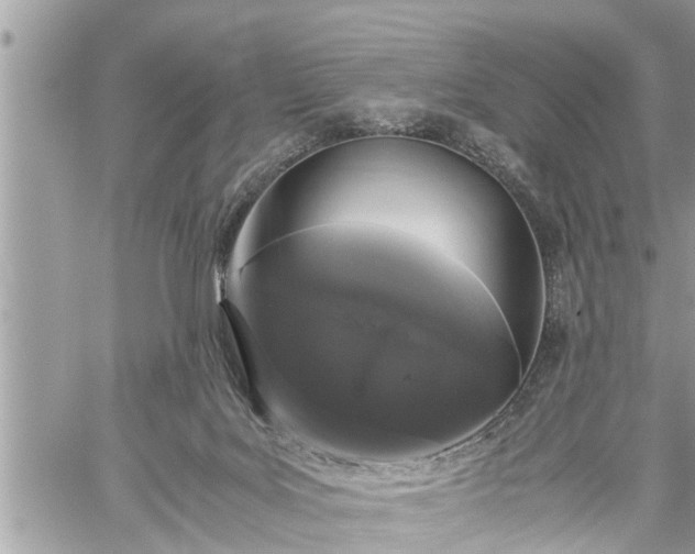 X0000060260027200511010924