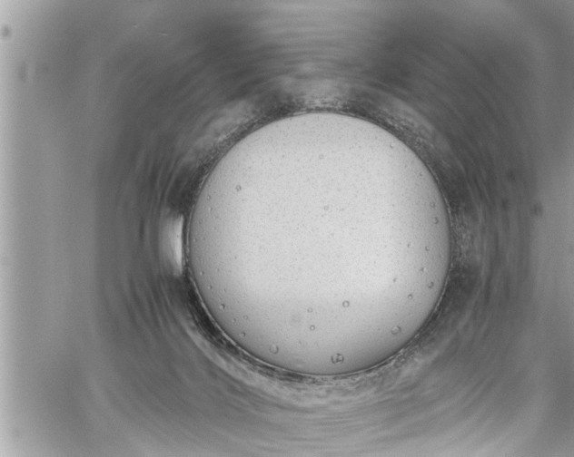 X0000060260028200511010924