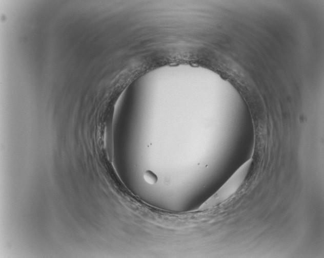 X0000060260029200511010924