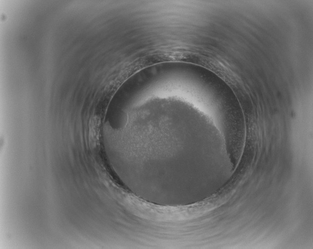 X0000060260030200511010924